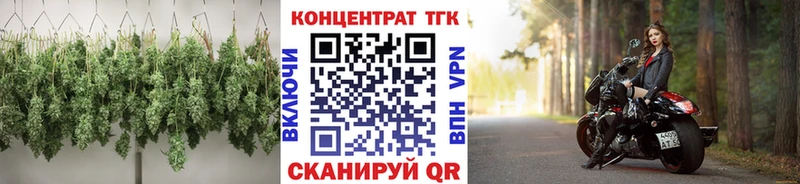 ТГК THC oil  где можно купить   Закаменск 