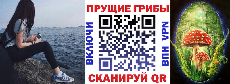 Галлюциногенные грибы мухоморы сколько стоит Закаменск